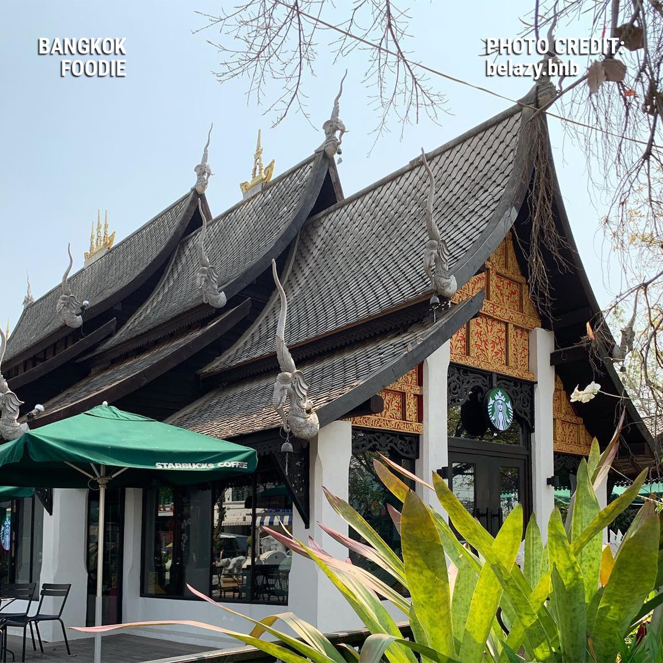 thiết kế cửa hàng Starbucks