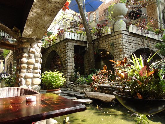 thiết kế quán cafe cá koi