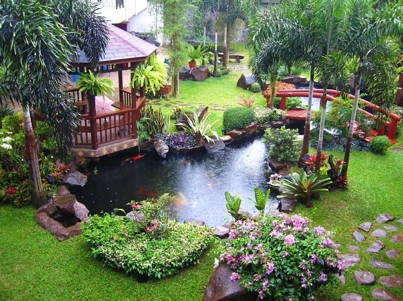 thiết kế thi công quán cafe cá koi